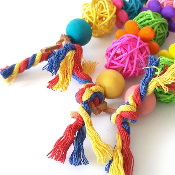 other bird supplies cage decoration for parakeet accessories budgie perch chew toy playing bite colorful pet parrot rattan swing random colo
other bird supplies cage decoration for parakeet accessories budgie perch chew toy playing bite colorful pet parrot rattan swing random colo