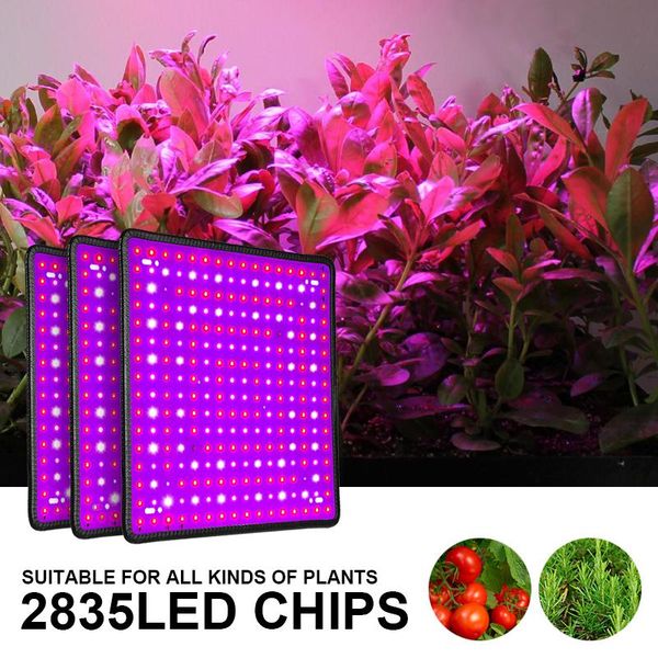 grow lights 225 led light hydroponic kits tent phytolamp plants 2000w growing lamp plant veg flower indoor lighting
grow lights 225 led light hydroponic kits tent phytolamp plants 2000w growing lamp plant veg flower indoor lighting