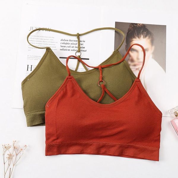 bras girls seamless backless cotton elastic wire removable pad sporty fitness small push up for women 2021 arrival, Red;black
bras girls seamless backless cotton elastic wire removable pad sporty fitness small push up for women 2021 arrival, Red;black