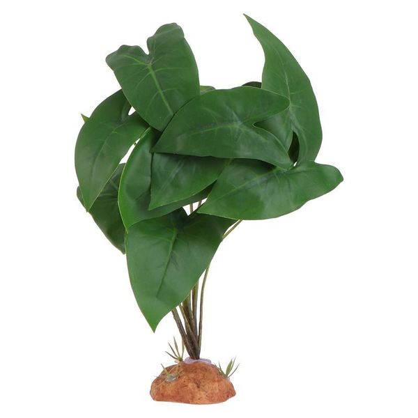 1pc decorative simulation plant reptile box adornment landscape ornament decorations
1pc decorative simulation plant reptile box adornment landscape ornament decorations
