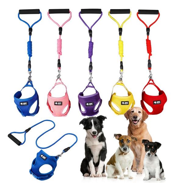 dog collars & leashes adjustable lead leash cat harness vest walking for puppy collar leath rope dogs small medium
dog collars & leashes adjustable lead leash cat harness vest walking for puppy collar leath rope dogs small medium