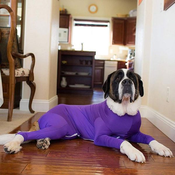 dog apparel 2021 pet post suit after operationbeneficial to wound recovery prevent licking reduce the spread of fleas
dog apparel 2021 pet post suit after operationbeneficial to wound recovery prevent licking reduce the spread of fleas