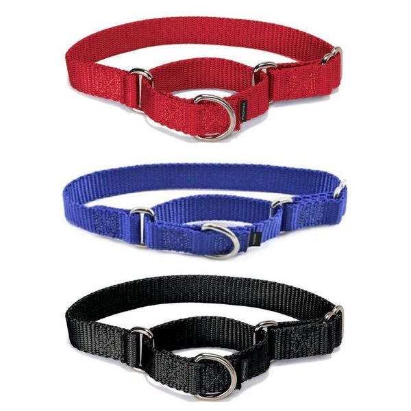 dog collars & leashes adjustable comfort collar heavy-duty pet out training nylon multi-color option neck ring
dog collars & leashes adjustable comfort collar heavy-duty pet out training nylon multi-color option neck ring