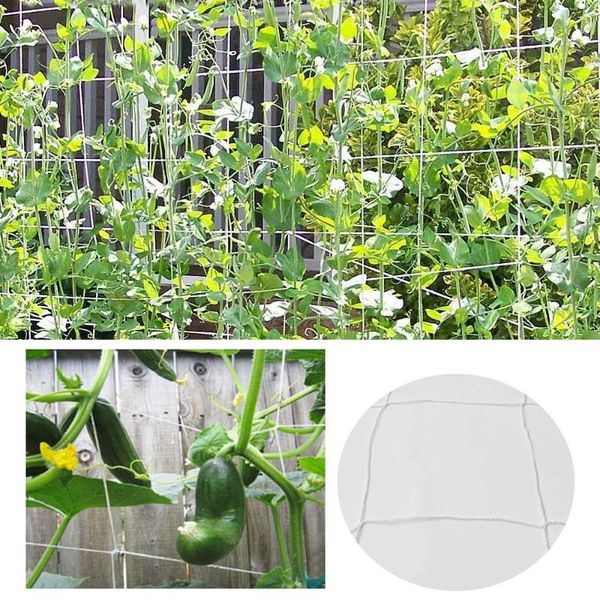 shade 1pc garden plants climbing net plastic & nylon morning glory flower vine netting support grow holder
shade 1pc garden plants climbing net plastic & nylon morning glory flower vine netting support grow holder