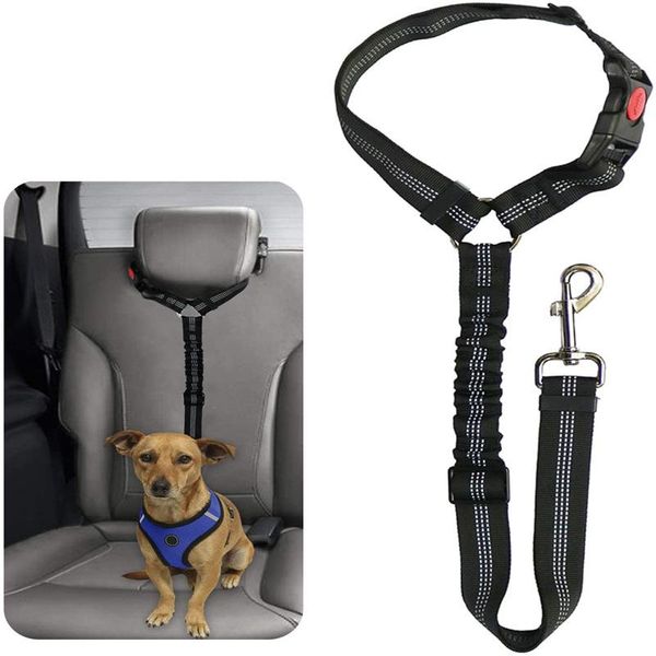 pet dog cat car scalable seat belt for animals adjustable harness leashes small medium travel clip accessories leash collars &
pet dog cat car scalable seat belt for animals adjustable harness leashes small medium travel clip accessories leash collars &