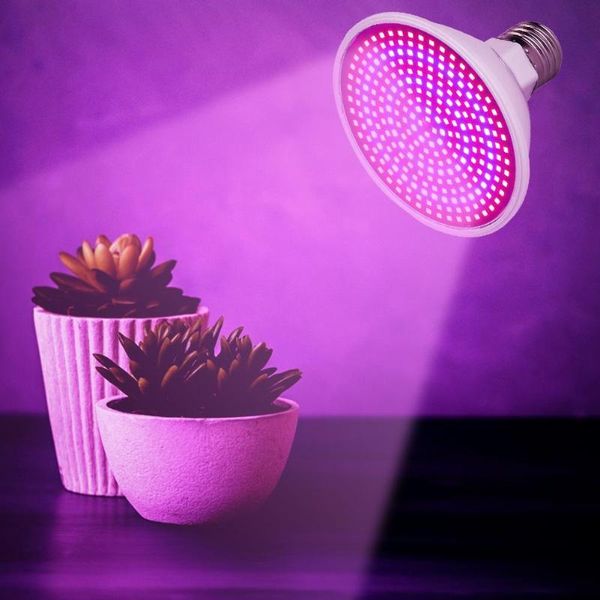 grow lights phyto lamp e27 60/126/200/260led for indoor vegetable flowers seedling plant growth dropshiping
grow lights phyto lamp e27 60/126/200/260led for indoor vegetable flowers seedling plant growth dropshiping