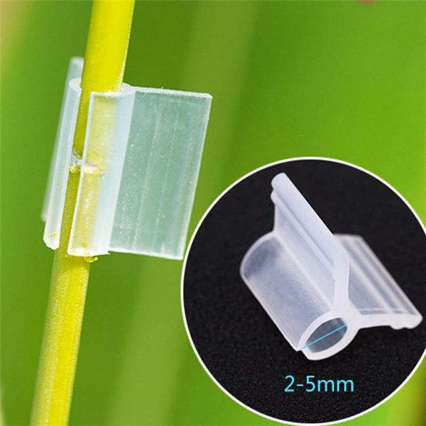other garden supplies 50 plant support clips white horticultural grafting clip 2-5mm round tube stake retaining for greenhouse frame pipe
other garden supplies 50 plant support clips white horticultural grafting clip 2-5mm round tube stake retaining for greenhouse frame pipe