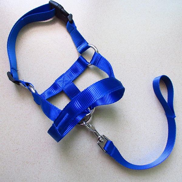 dog collars & leashes simple universal mouth rope strong durable bite-proof pet muzzles safe adjustable breathable supplies
dog collars & leashes simple universal mouth rope strong durable bite-proof pet muzzles safe adjustable breathable supplies