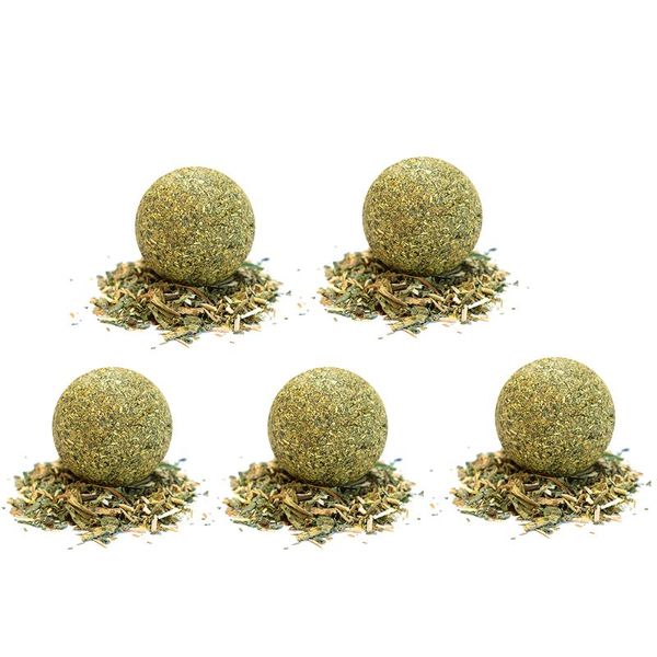 cat toys 5pcs catnip ball toy mint natural teeth cleaning playing chew claw pet supplies treat
cat toys 5pcs catnip ball toy mint natural teeth cleaning playing chew claw pet supplies treat