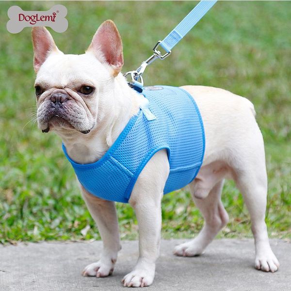 dog collars & leashes pet chest strap mesh sleeve leash small walking rope vest harness supplies
dog collars & leashes pet chest strap mesh sleeve leash small walking rope vest harness supplies