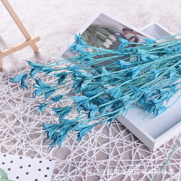decorative flowers & wreaths natural dried flower bouquet octagonal for wedding party decoration diy craft home decor scrapbook
decorative flowers & wreaths natural dried flower bouquet octagonal for wedding party decoration diy craft home decor scrapbook