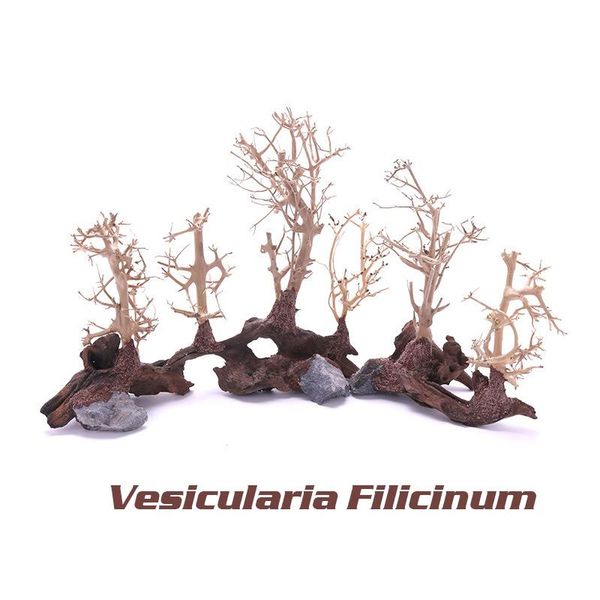 driftwood 20/30cm drift wood aquarium plant aquario fish tank landscape natural tree trunk decoration ornament decorations
driftwood 20/30cm drift wood aquarium plant aquario fish tank landscape natural tree trunk decoration ornament decorations