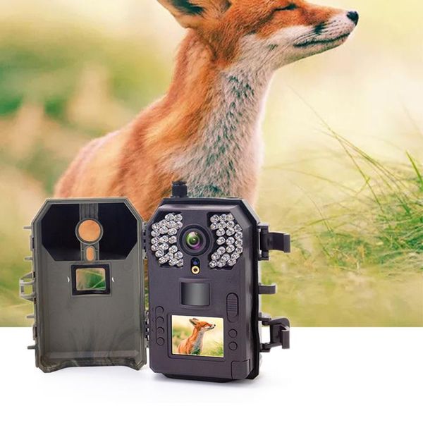 trail cameras 1080p ip66 3g infrared night vision surveillance 0.5s trigger po trap hunting camera for wildlife monitoring
trail cameras 1080p ip66 3g infrared night vision surveillance 0.5s trigger po trap hunting camera for wildlife monitoring