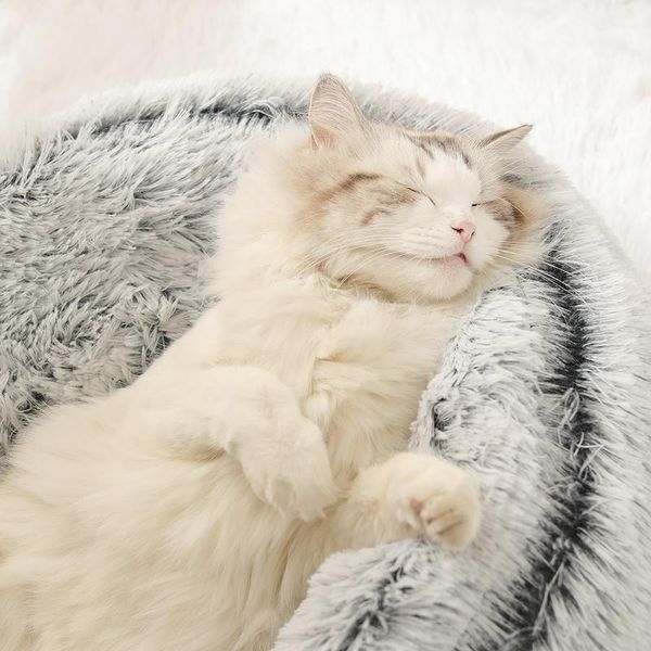 winter pet dog cat bed 2 in 1 house long plush cats donut cave cuddler warm sleeping nest for small dogs kitten sofa cushion beds & furnitur
winter pet dog cat bed 2 in 1 house long plush cats donut cave cuddler warm sleeping nest for small dogs kitten sofa cushion beds & furnitur