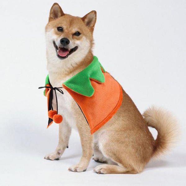 cat costumes fashion pet dog cloak funny puppy halloween cosplay costume cute dogs coat pets party dress up
cat costumes fashion pet dog cloak funny puppy halloween cosplay costume cute dogs coat pets party dress up