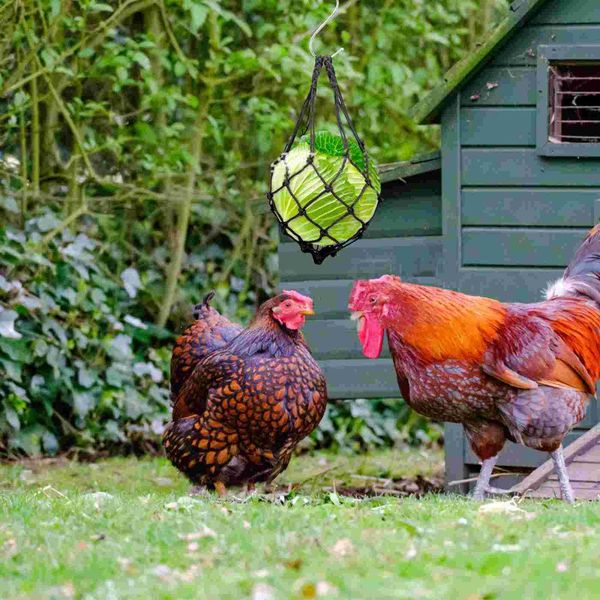 storage bags chicken veggies fruit holder bag cage hanging net pet feeding tool