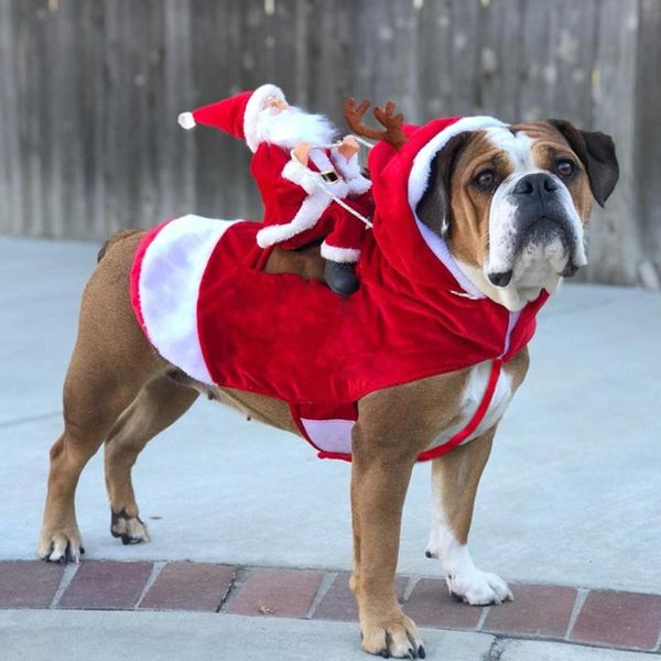 dog apparel 2021 pet christmas cat costume warm santa costumes holiday party medium large dogs funny riding
dog apparel 2021 pet christmas cat costume warm santa costumes holiday party medium large dogs funny riding