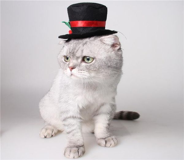 dog apparel cute christmas party pet small hats cap dress cat costume outfit wedding accessories headwear
dog apparel cute christmas party pet small hats cap dress cat costume outfit wedding accessories headwear