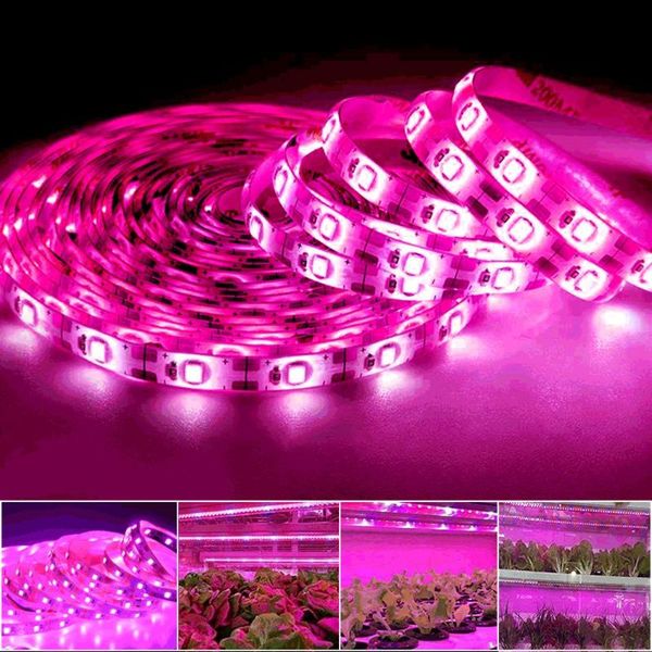 3m 4m 5m led phyto lamp strip 5v usb grow light 2835 phytolamp for plants hydroponic greenhouse seedlings growth lights
3m 4m 5m led phyto lamp strip 5v usb grow light 2835 phytolamp for plants hydroponic greenhouse seedlings growth lights