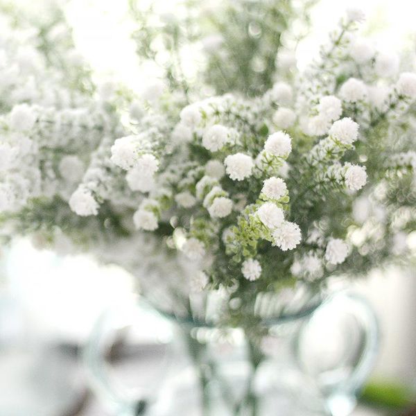 decorative flowers & wreaths white babysbreath branch with green leaves snow-like artificial faux foliage wedding decoration fake plants
decorative flowers & wreaths white babysbreath branch with green leaves snow-like artificial faux foliage wedding decoration fake plants