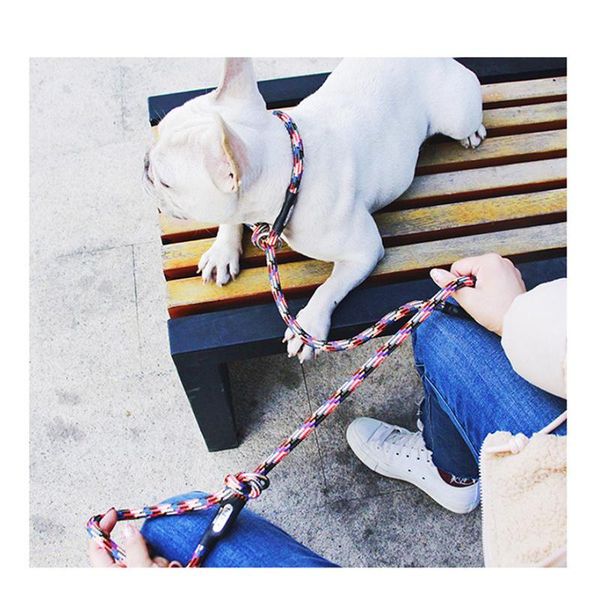 dog collars & leashes type reflective pet cat leashtraction rope for dogs pets short walking
dog collars & leashes type reflective pet cat leashtraction rope for dogs pets short walking