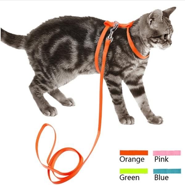 cat harness & leash set adjustable nylon collar lead kitten for outdoor walking small dog and collars leads
cat harness & leash set adjustable nylon collar lead kitten for outdoor walking small dog and collars leads