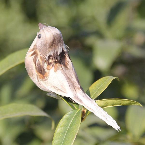 artificial birds fake foam animal simulation feather models diy wedding home garden ornament decoration decorations
artificial birds fake foam animal simulation feather models diy wedding home garden ornament decoration decorations