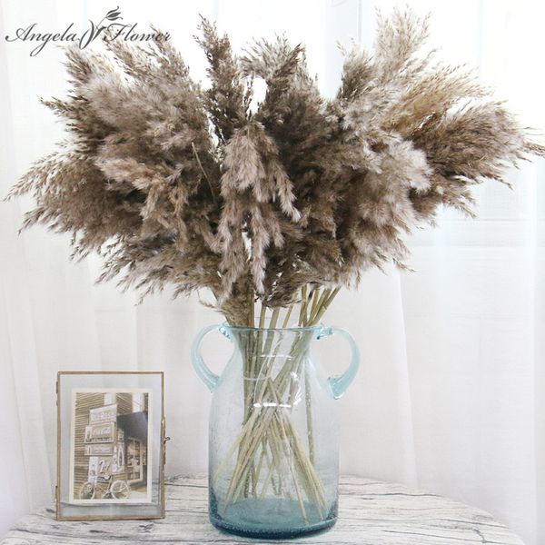natural dried pampas grass reed plants home decor wedding flower bouquet bunch materials feather dried flower natural phragmites
natural dried pampas grass reed plants home decor wedding flower bouquet bunch materials feather dried flower natural phragmites