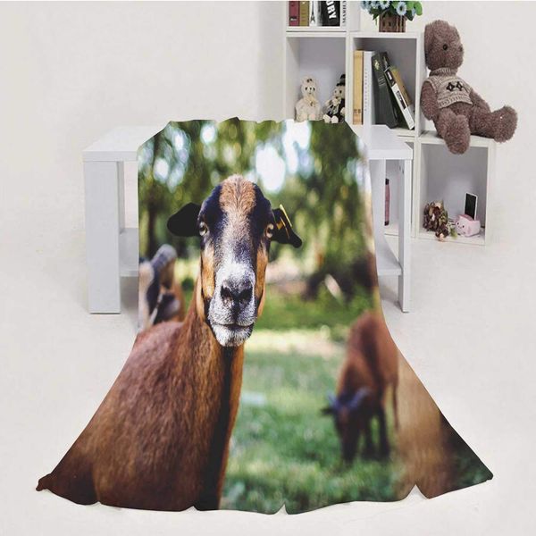 goat portrait,blanket throw weight super soft cozy luxury bed blanket 70''x80''(wxl)
goat portrait,blanket throw weight super soft cozy luxury bed blanket 70''x80''(wxl)