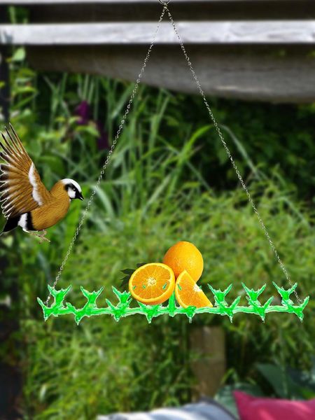 other bird supplies metal hanging acrylic feeder fruit oriole hummingbird home decor ornament automatic fits outside garden
other bird supplies metal hanging acrylic feeder fruit oriole hummingbird home decor ornament automatic fits outside garden