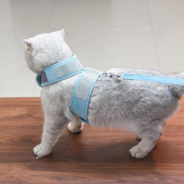 dog collars & leashes sturdy beautiful puppy kitten chest strap soft texture cats harness solid color for pet training
dog collars & leashes sturdy beautiful puppy kitten chest strap soft texture cats harness solid color for pet training