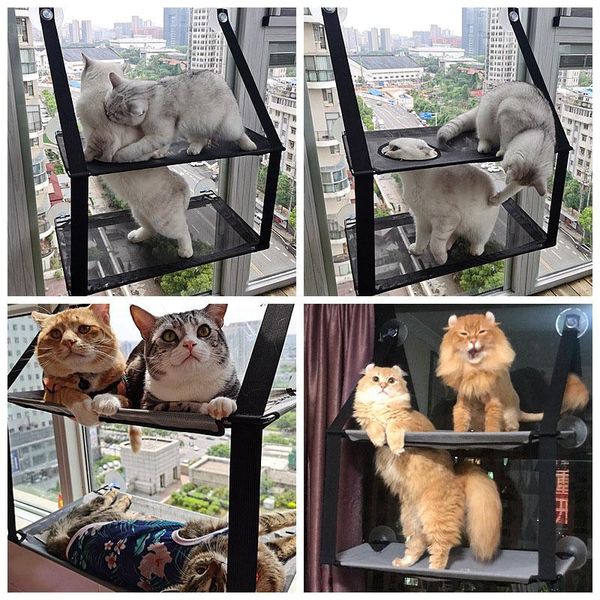 cat beds & furniture pets hammock wood shelf seat pet hanging bed sucker window mounted perch climbing toys supports up to 10kg
cat beds & furniture pets hammock wood shelf seat pet hanging bed sucker window mounted perch climbing toys supports up to 10kg
