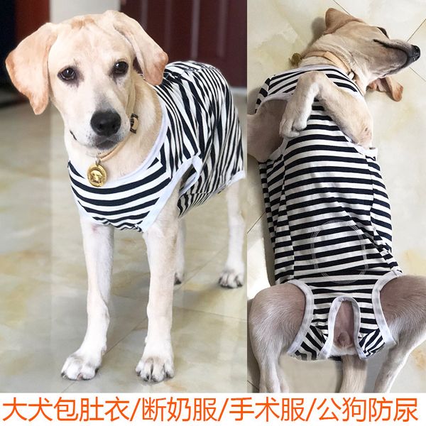 large dog belly wrap cloth golden hair labrador bitch weaning protection pure cotton sterilization
large dog belly wrap cloth golden hair labrador bitch weaning protection pure cotton sterilization