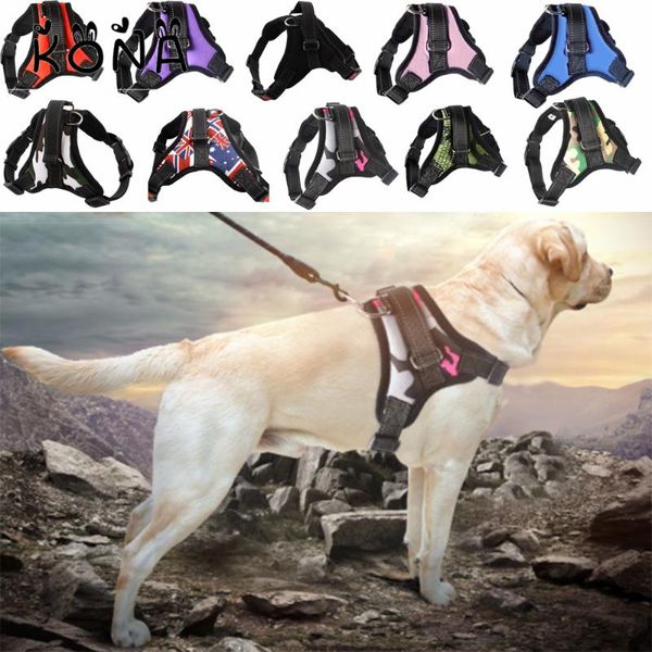 pet dog and cat adjustable harness with leash reflective breathable for small large vest supplies collars & leashes
pet dog and cat adjustable harness with leash reflective breathable for small large vest supplies collars & leashes
