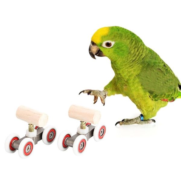 other bird supplies 2 pieces training toys parrot intelligence toy mini roller skate for parrots and birds trick tabletop
other bird supplies 2 pieces training toys parrot intelligence toy mini roller skate for parrots and birds trick tabletop
