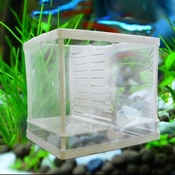 aquariums fish tank aquarium guppy breeding mesh box net baby gauze trap isolator incubator breeder
aquariums fish tank aquarium guppy breeding mesh box net baby gauze trap isolator incubator breeder