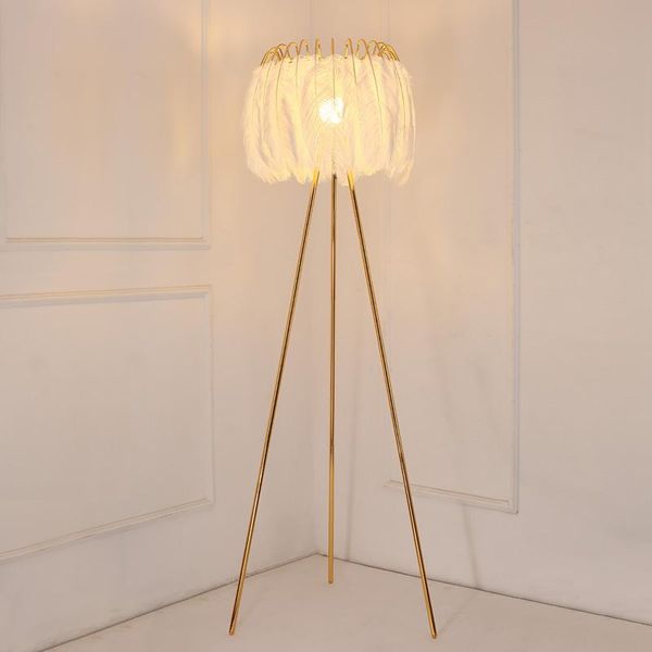 nordic modern luxury feather led floor lamp high-grade stand light for living room drop indoor fixture lamps
nordic modern luxury feather led floor lamp high-grade stand light for living room drop indoor fixture lamps