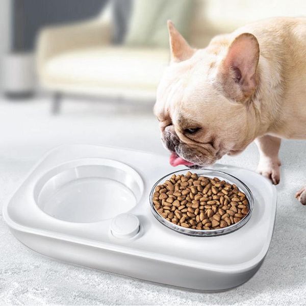 dog bowls & feeders bowl double small and medium-sized cat automatic drinking fountain rice pet
dog bowls & feeders bowl double small and medium-sized cat automatic drinking fountain rice pet