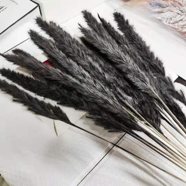 black white pampas grass natural dry flowers bouquet bohemian home decor for po shoot props decoration accessories aesthetic decorative & wr
black white pampas grass natural dry flowers bouquet bohemian home decor for po shoot props decoration accessories aesthetic decorative & wr