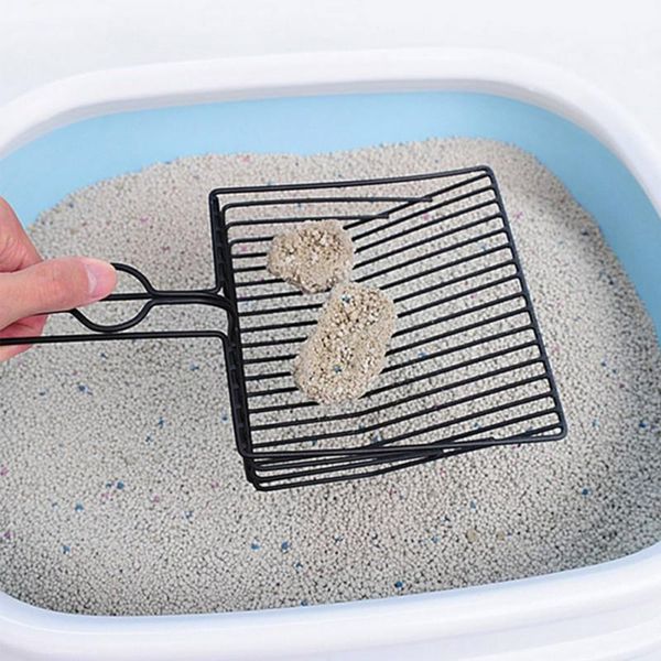 cat grooming pet durable dog stainless steel cleaning tools puppy kitten litter scoop cozy sand poop shovel products
cat grooming pet durable dog stainless steel cleaning tools puppy kitten litter scoop cozy sand poop shovel products