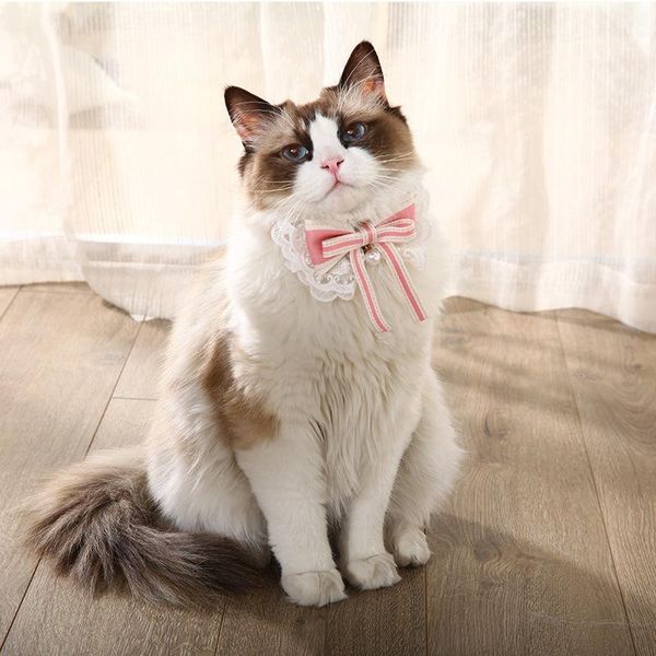 cat accessories collar for cats bow tie teddy small dog pet necklace supplies collars & leads
cat accessories collar for cats bow tie teddy small dog pet necklace supplies collars & leads