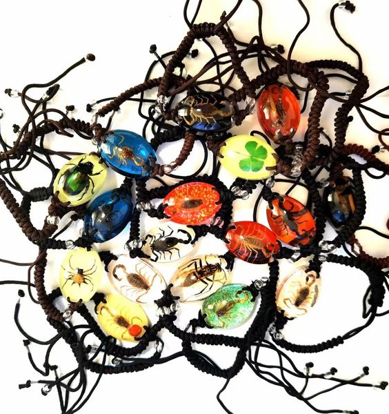 50 pcs mixed real scorpion cool four leaf clover bee spider green beetle fashion bracelet, Golden;silver
50 pcs mixed real scorpion cool four leaf clover bee spider green beetle fashion bracelet, Golden;silver