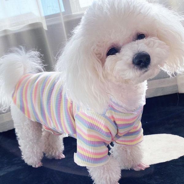 dog apparel puppy clothes spring and autumn bottoming shirt summer dress thin cotton pet clothing accessories
dog apparel puppy clothes spring and autumn bottoming shirt summer dress thin cotton pet clothing accessories
