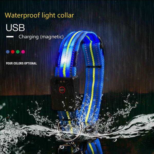 dog collars & leashes 2021 led collar reflective strip waterproof multi-function charging light teddy golden hair than bear supplies
dog collars & leashes 2021 led collar reflective strip waterproof multi-function charging light teddy golden hair than bear supplies