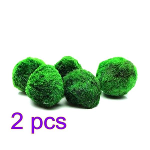decorations 2pcs petforu seaweed algae ball aquarium decor ornament water cultivation plants decorative decoration
decorations 2pcs petforu seaweed algae ball aquarium decor ornament water cultivation plants decorative decoration
