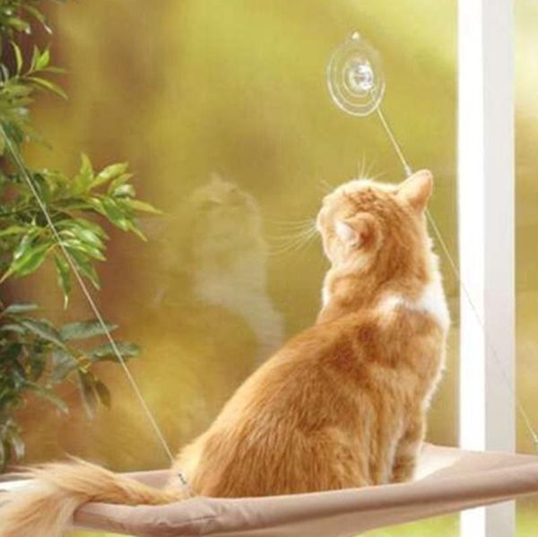 cat beds & furniture cute pet hanging bearing 20kg window mount hammock comfortable bed
cat beds & furniture cute pet hanging bearing 20kg window mount hammock comfortable bed