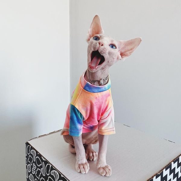 hairless cat clothes sphinx deven rainbow breathable sun-proof t-shirt pet for dogs shirt costumes
hairless cat clothes sphinx deven rainbow breathable sun-proof t-shirt pet for dogs shirt costumes