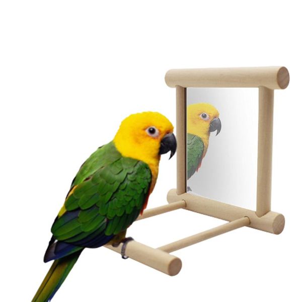 wooden pet toy mirror fun brid for cockatiel parrots small birds hanging bell parrot toys climb accessories other bird supplies
wooden pet toy mirror fun brid for cockatiel parrots small birds hanging bell parrot toys climb accessories other bird supplies