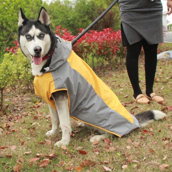 petstar wholesale custom comfortable large pet clothes hoodie safe reflective waterproof dog raincoat apparel
petstar wholesale custom comfortable large pet clothes hoodie safe reflective waterproof dog raincoat apparel