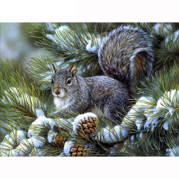 diamond painting kamy yi diy 5d square handmade round rhinestone cross stitch cute little squirrel animal, picture home decoration
diamond painting kamy yi diy 5d square handmade round rhinestone cross stitch cute little squirrel animal, picture home decoration